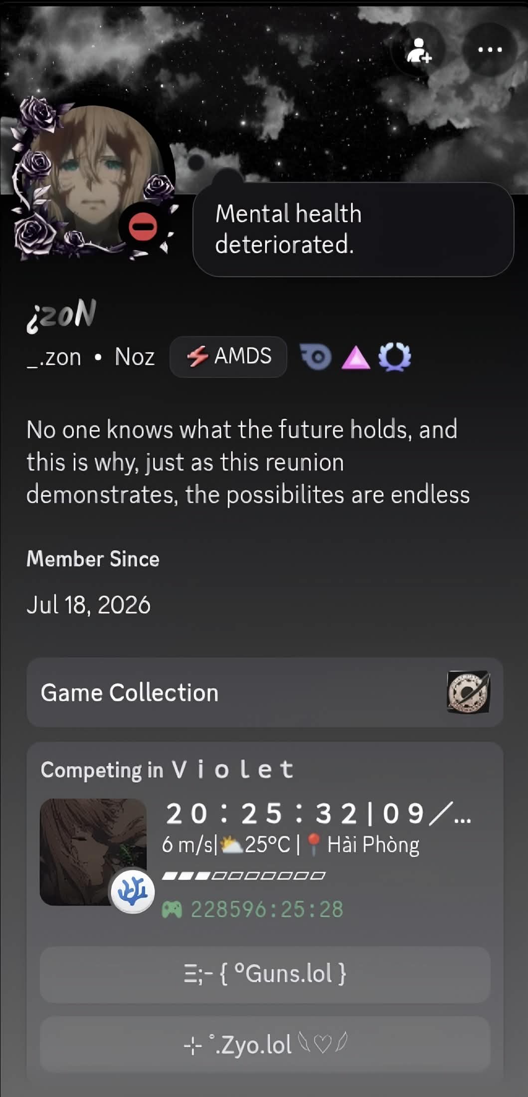 Discord Profile 1